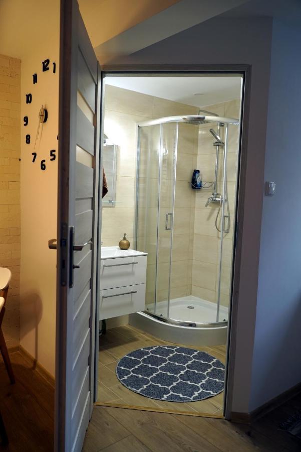 Apartament Naleczow Dom Pod Orzechami 外观 照片