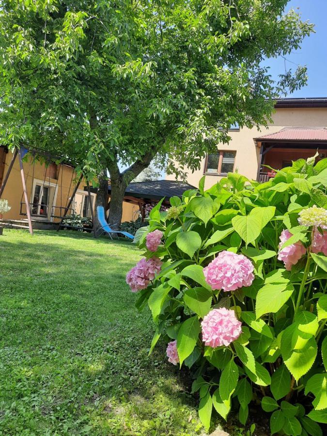 Apartament Naleczow Dom Pod Orzechami 外观 照片